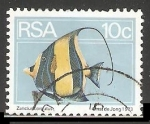 Stamps : Africa : South_Africa :  zanclus cornutus
