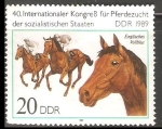 Stamps : Europe : Germany :   Thoroughbred-pura sangre 