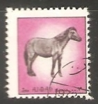 Stamps United Arab Emirates -  Caballo