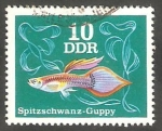 Stamps Germany -  1852 - Pez de acuario
