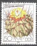 Stamps Germany -  Cactáceas cultivadas.Copiapoa cinerea(DDR)..