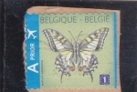 Stamps Belgium -  mariposa- 