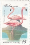Stamps Cuba -  fauna del caribe