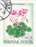 Stamps Hungary -  flores-