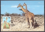 Stamps Africa - Kenya -  WWF