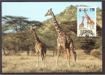 Sellos del Mundo : Africa : Kenya : WWF