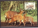 Stamps Ghana -  WWF