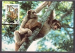 Stamps Brazil -  WWF
