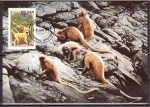 Stamps Asia - Bhutan -  WWF