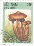 Stamps Vietnam -  setas-collybia fusipes