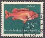 Stamps Germany -  285 - Abadejo