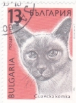 Stamps : Europe : Bulgaria :  gato
