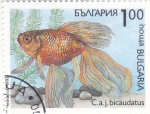 Sellos del Mundo : Europa : Bulgaria : pez- bicaudatus