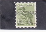 Sellos de Africa - Nigeria -  aves- hornbill