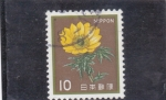 Stamps Japan -  flores