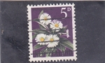 Sellos de Oceania - Nueva Zelanda -  flores-