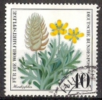 Stamps Germany -  905 - flor ceratocephalus falcatus