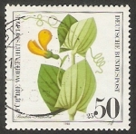 Stamps Germany -  906 - Flores