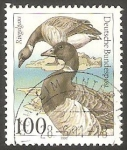 Stamps Germany -  1369 - Proteccion de la naturaleza, animales marinos proteguidos, branta bernicla