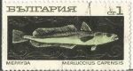 Stamps : Europe : Bulgaria :  merluccius capensis