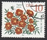 Sellos de Europa - Alemania -  2387 - Flor tagetes patula 