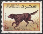 Stamps United Arab Emirates -  Perro de raza