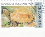 Sellos del Mundo : Africa : Togo : tortuga