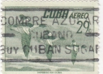 Stamps Cuba -  aves