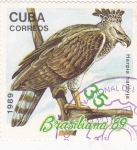 Sellos de America - Cuba -  ave- arpìa