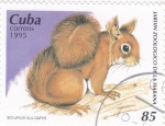 Stamps Cuba -  jardin zoologico de la Habana-ardilla