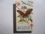 Stamps : Europe : Switzerland :  Mariposa - P.Philenor - Colección del Dr.Tarsicio Escalante. 1963/64.