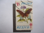 Sellos del Mundo : Europa : Suiza : Mariposa - P.Philenor - Colección del Dr.Tarsicio Escalante. 1963/64.