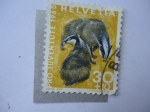 Stamps Switzerland -  Pro Juventud 1965.