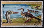 Stamps Senegal -  Avesol africano