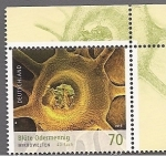 Sellos de Europa - Alemania -  Flor de Agrimonia - Mundo microscopico 40 aumentos