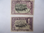 Stamps United Kingdom -  George VI y Eduardo VII. Colonias.