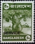 Stamps Bangladesh -  Árbol de jaca