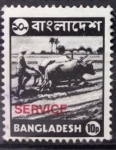 Stamps Bangladesh -  Campesino arando