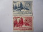 Stamps Colombia -  Scott/Colombia:639 - Quinta de Bolivar en Bogotá - Rotary International 1905-1955.