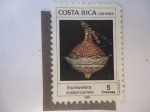 Stamps Costa Rica -  Arqueología - Eschweilera Costarricensis.