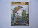 Stamps Colombia -  Barranquero (Momotus momota)