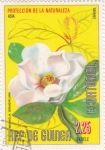 Sellos de Africa - Guinea Ecuatorial -  flores- magnolia