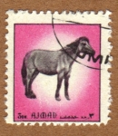 Stamps United Arab Emirates -  COL-CABALLO