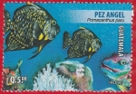 Stamps Guatemala -  Pez Angel