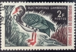 Stamps Africa - Ivory Coast -  Ganso Espolonado