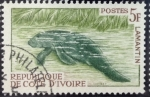 Stamps : Africa : Ivory_Coast :  Manatí africano