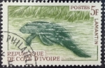 Sellos del Mundo : Africa : Costa_de_Marfil : Manatí africano
