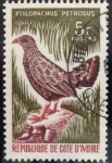Stamps Ivory Coast -  Gallineta roquera