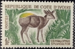 Stamps : Africa : Ivory_Coast :  Cefalofo silvicultor