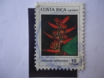 Stamps Costa Rica -  Flora: Heliconia Lophocarpa.